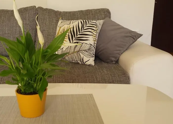 Apartment Petra Pekica